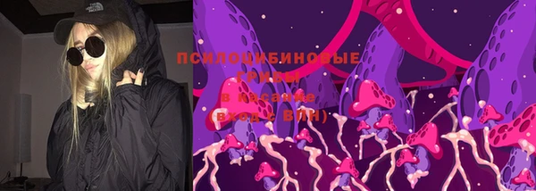 PSILOCYBIN Алексеевка