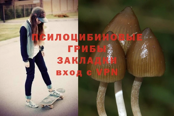 героин Алексин