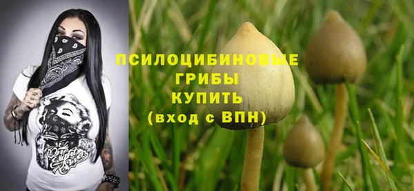 PSILOCYBIN Алексеевка