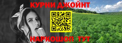 шишки Можайск