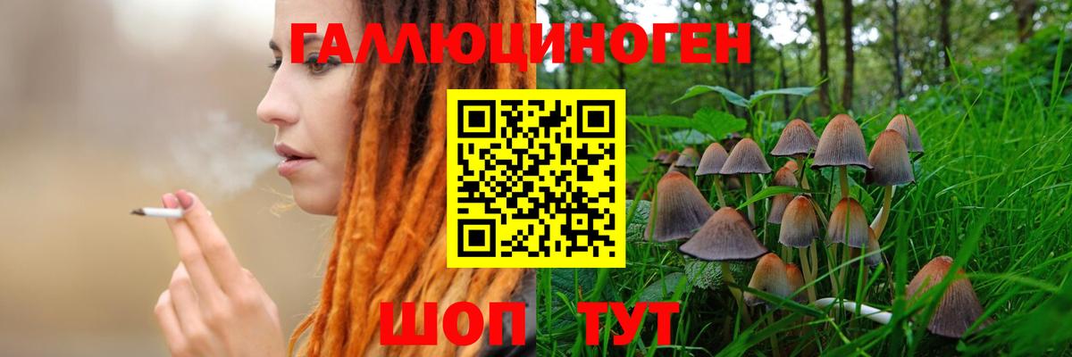 Псилоцибиновые грибы мухоморы Всеволожск